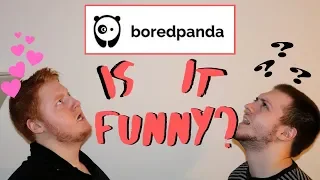 IS IT FUNNY - BoredPanda