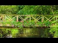 Download Lagu Peaceful Music, Relaxing Music, Beautiful Instrumental Music, \
