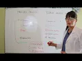 Nursing Process vs Clinical Judgment Measurement Model CJMM
