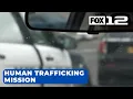 9 arrested gun seized in human trafficking mission on 82nd Ave