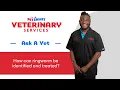 How to Identify and Treat Ringworm in Pets PetSmart Veterinary Services