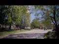 Become a Louisiana Tech Bulldog