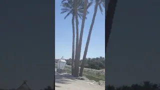 مسافر في الطريق وحدك 