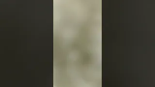 Https Youtu Be FlTEhZi9zTg Si Mc9gBLfTt4BwJSVR 