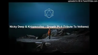 nicky deep u0026 krippsoulisc growth pt 4 tribute to volkano