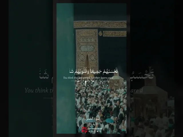 ⁣لا يقاتلونكم جميعا إلا في قرى محصنة أو من وراء جدر بأسهم بينهم شديد - سورة الحشر الآية 14