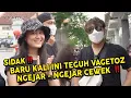 Download Lagu PENGUNJUNG MALIOBORO JOGJA DI SIDAK VAGETOZ ❗️❗️AUTO PECAH❗️❗️