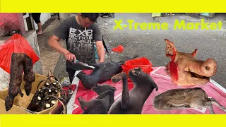 They eat DOGS, BATS, SNAKES and RATS here! (Ep 279)