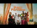 Download Lagu Pau - Pervane