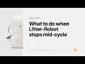 What To Do When Litter-Robot Stops Mid-Cycle Litter-Robot 3