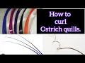 How to curl the ostrich quill stick for Fascinators and turban designs