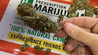 An Oz of PGR FML