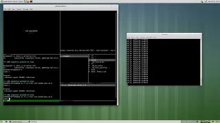 gdbforge Linux App Debug Internal IO Pane vs External Terminal