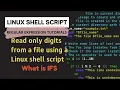 Bash Scripting How to Read a File Line by Line and Print Lines Containing Numbers