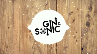avril lavigne what the hell gin and sonics hypertechno remix 