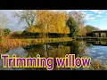 Download Lagu Trimming a Weeping Willow