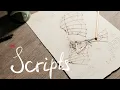 Intro to CP600 Chapter 8 Scripts