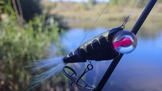 watch me create a mesmerizing golden glow edison swimbait 