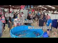Download Lagu BKKS Great British Koi Show 2025