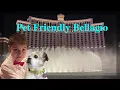 Pet Friendly Las Vegas - Bellagio Everything You Need to Know