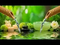 Download Lagu Soothing Relaxation and Deep Sleep Music🌿 Calming Music with Nature Sounds, Meditation, Spa, Relax