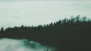 ونادا اصحاب الجنة اصحاب النار ان قد وجدنا ماوعدنا حقا صوت مبكي القران الكريم القارى اسلام صبحي 