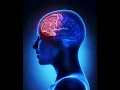 Treating Executive Functioning Difficulties Improving Planning