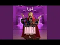 Lagu Amira