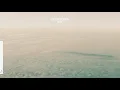 Lycoriscoris - Kite
