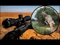 Download Lagu Cape Buffalo and Kudu hunts