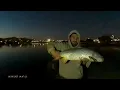 Catch release Ascarate Lake