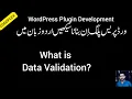 What is Data Validation in WordPress Comprehensive Guide in Urdu CODOPLEX
