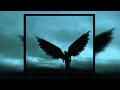 Download Lagu Crystal Castles - Empathy (super slowed + reverb)