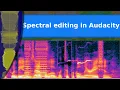Sound - Precision editing by frequency in Audacity using the spectrograph display