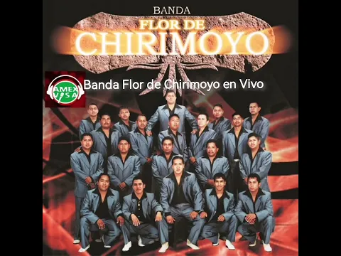 Download MP3 Con cual de los dos Banda Flor de Chirimoyo en vivo