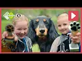 Download Lagu RIDDERS GAAN OP ZOEK NAAR DRAKEN! 🐶 | Beestenbrigade Modderrace | NPO Zappelin