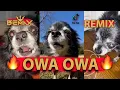 Download Lagu Pudgy - OWA OWA (BEMAX Remix) 🔥FULL VERSION🔥