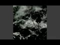 Download Lagu Constant Like the Northern Star