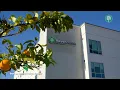 Haven Health Sky Harbor Phoenix s Premier Respiratory Rehabilitation Facility
