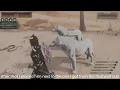 Raising a Greater Wolf from a frost wolf cub and wolf cub Exiled Lands Conan Exiles