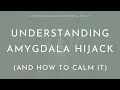 Download Lagu Amygdala Hijack Explained (With a Somatic Practice to Calm Your Amygdala)