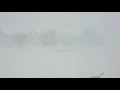 White Out in Grand Rapids MN 11-18-2016 mid-afternoon