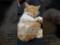 Download Lagu Fakta Anak Pertama #anakpertama
