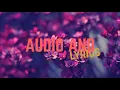 Selena - Como La Flor (Lyrics)