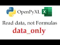 OpenPyXL data - only Parameter Explained