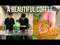 Download Lagu A truly beautiful coffee - Finca Deborah Anaerobic Natural Panama Gesha collab!