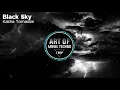 Download Lagu Kakha Tomadze - Black Sky [Art of Trip]