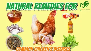 For Quick Recovery:Give Theses Natural Remedies For Common Poultry Diseases