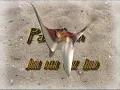 PANAHON - Juan Dela Cruz Band (FLAC / Hi-Res Audio)