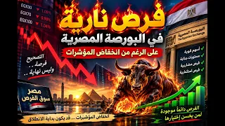 فرص ناريه فى البورصه المصريه على الرغم من انخفاض المؤشرات دندنها